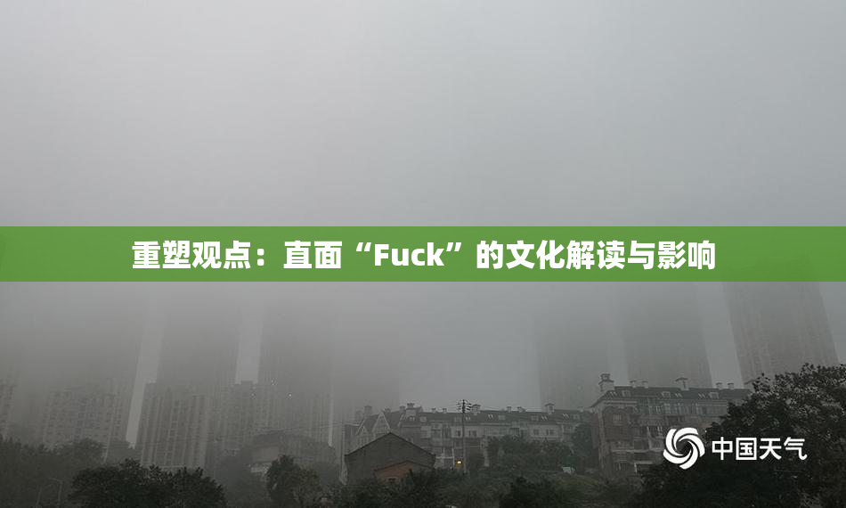 重塑观点：直面“Fuck”的文化解读与影响