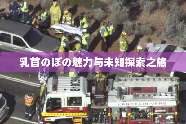 乳首のぼの魅力与未知探索之旅