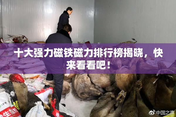 十大强力磁铁磁力排行榜揭晓，快来看看吧！