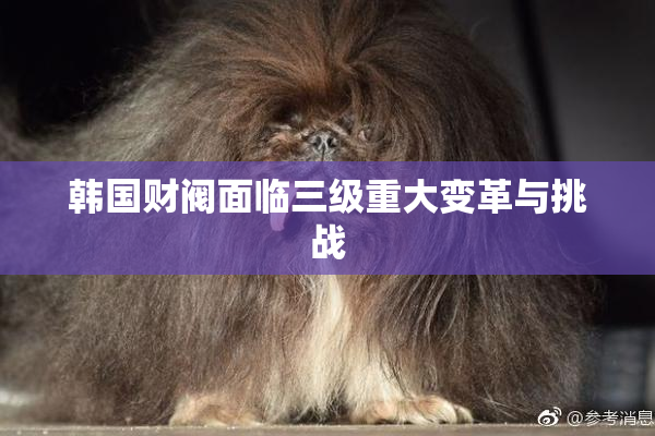 韩国财阀面临三级重大变革与挑战