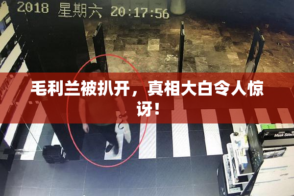 毛利兰被扒开，真相大白令人惊讶！