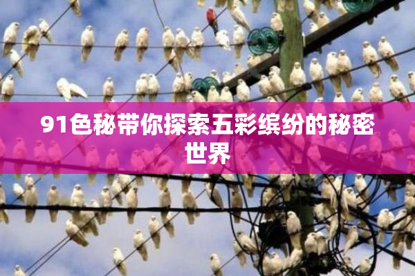 91色秘带你探索五彩缤纷的秘密世界