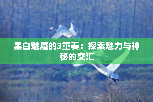黑白魅魔的3重奏：探索魅力与神秘的交汇