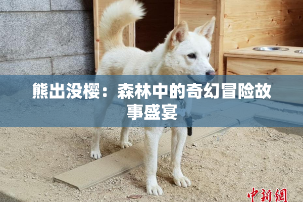 熊出没樱：森林中的奇幻冒险故事盛宴