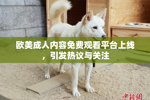 欧美成人内容免费观看平台上线，引发热议与关注