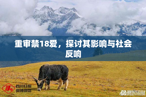 重审禁18爱，探讨其影响与社会反响