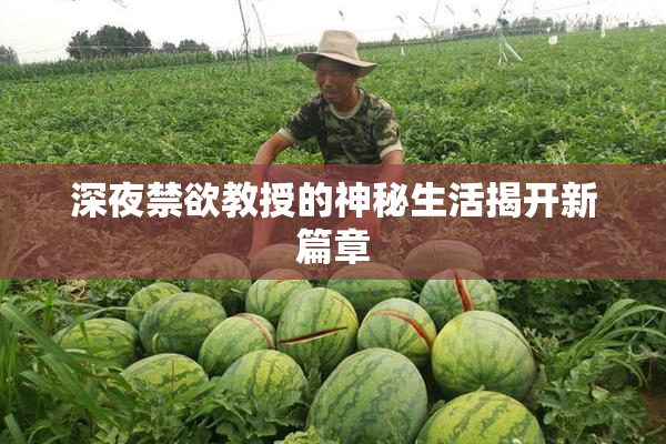 深夜禁欲教授的神秘生活揭开新篇章