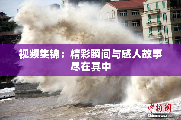 视频集锦：精彩瞬间与感人故事尽在其中