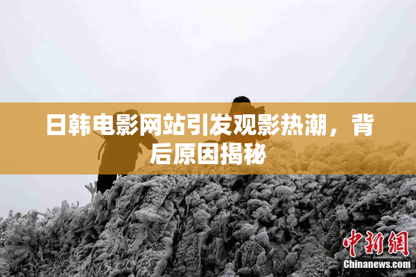 日韩电影网站引发观影热潮，背后原因揭秘