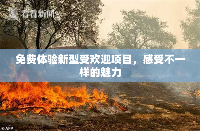 免费体验新型受欢迎项目，感受不一样的魅力