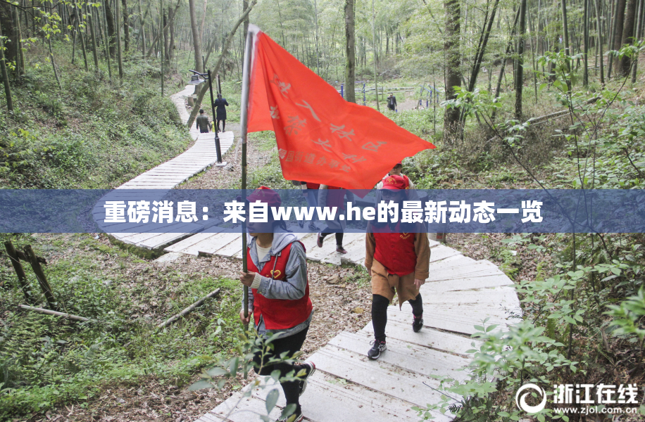 重磅消息：来自www.he的最新动态一览