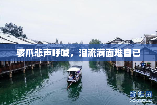骇爪悲声呼喊，泪流满面难自已