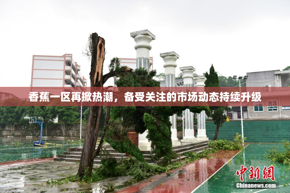 香蕉一区再掀热潮，备受关注的市场动态持续升级