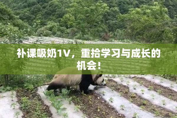 补课吸奶1V，重拾学习与成长的机会！