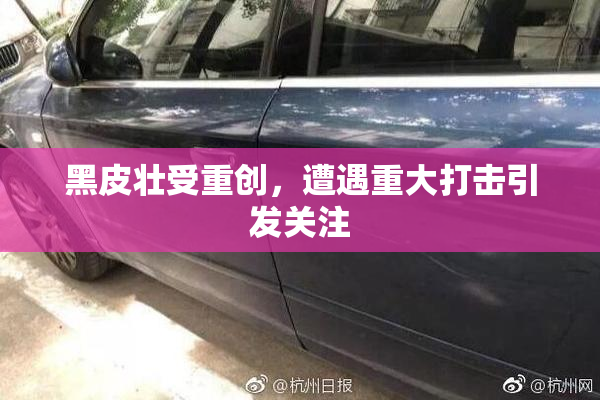 黑皮壮受重创，遭遇重大打击引发关注
