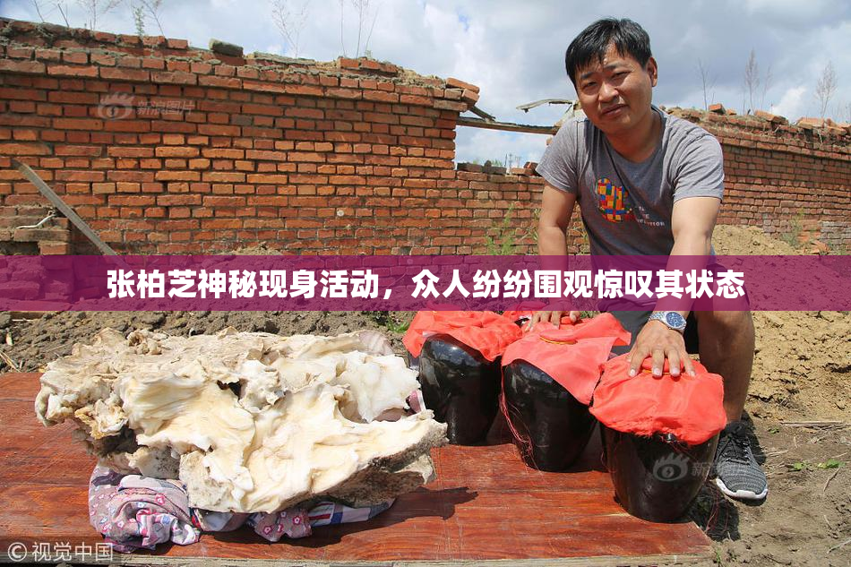 张柏芝神秘现身活动，众人纷纷围观惊叹其状态