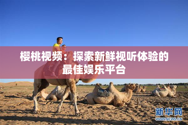 樱桃视频：探索新鲜视听体验的最佳娱乐平台