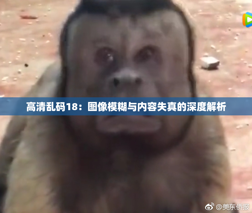 高清乱码18：图像模糊与内容失真的深度解析