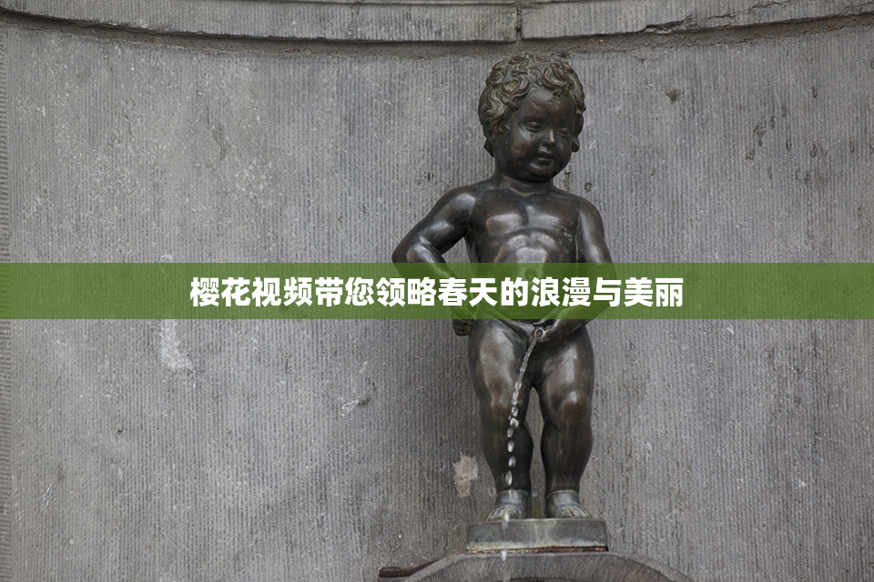 樱花视频带您领略春天的浪漫与美丽