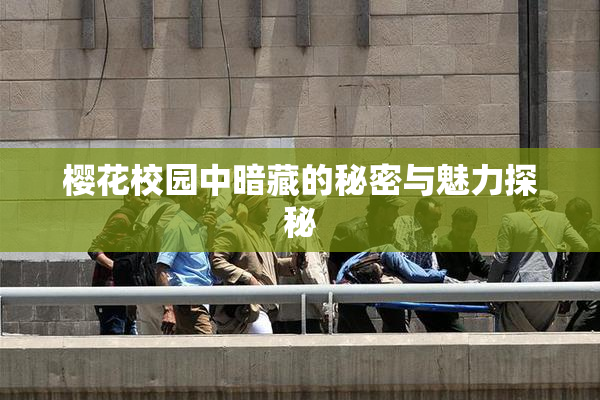 樱花校园中暗藏的秘密与魅力探秘