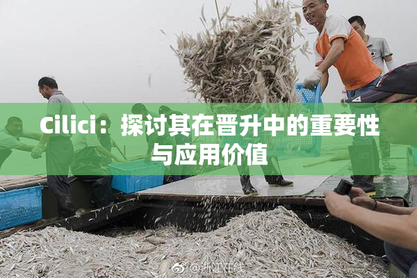 Cilici：探讨其在晋升中的重要性与应用价值