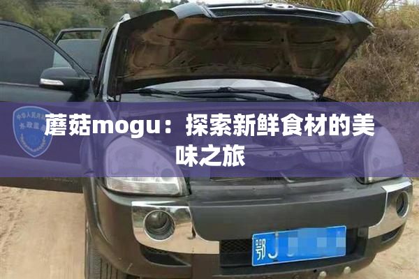 蘑菇mogu：探索新鲜食材的美味之旅