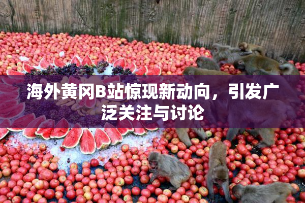 海外黄冈B站惊现新动向，引发广泛关注与讨论