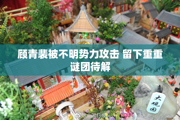 顾青裴被不明势力攻击 留下重重谜团待解