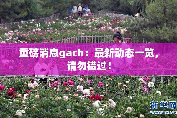 重磅消息gach：最新动态一览，请勿错过！