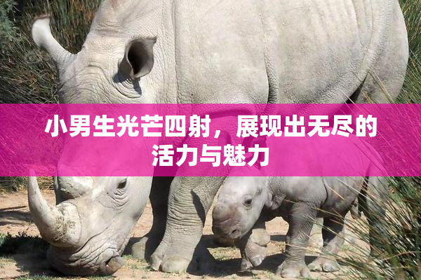 小男生光芒四射，展现出无尽的活力与魅力