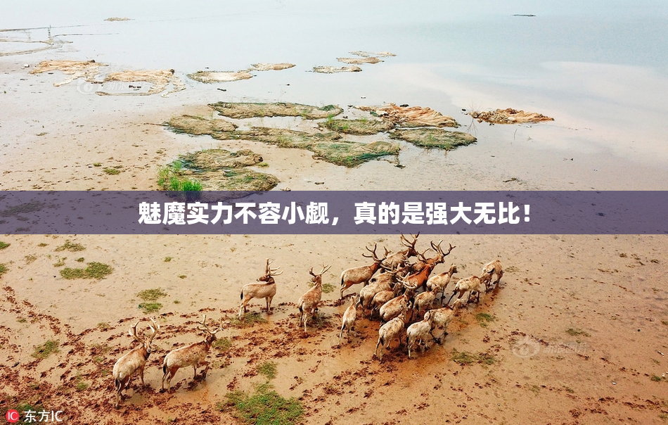魅魔实力不容小觑，真的是强大无比！