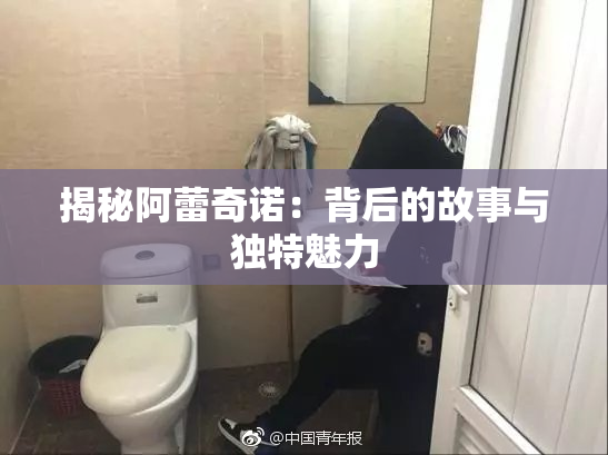 揭秘阿蕾奇诺：背后的故事与独特魅力