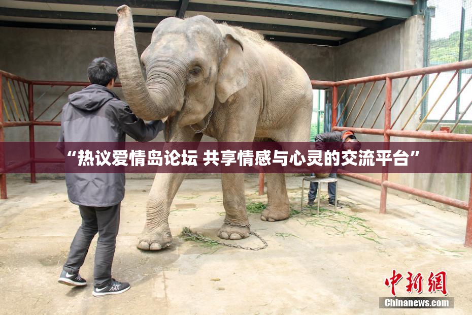 “热议爱情岛论坛 共享情感与心灵的交流平台”