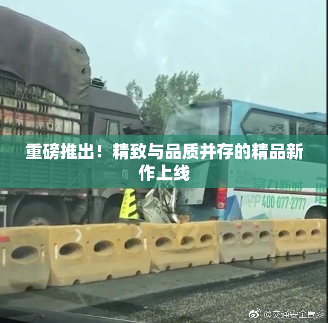 重磅推出！精致与品质并存的精品新作上线