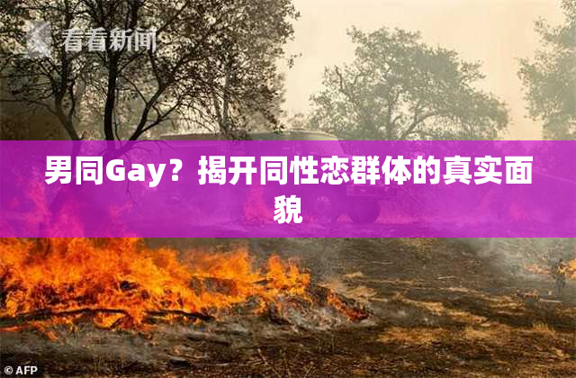 男同Gay？揭开同性恋群体的真实面貌