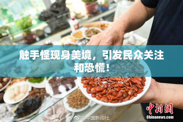 触手怪现身美境，引发民众关注和恐慌！