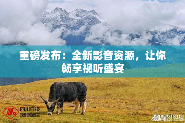重磅发布：全新影音资源，让你畅享视听盛宴