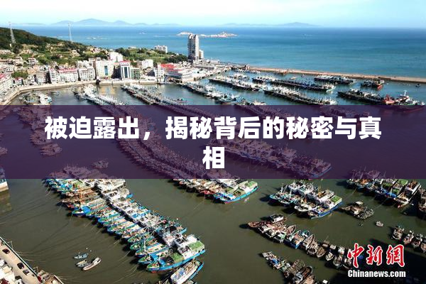 被迫露出，揭秘背后的秘密与真相