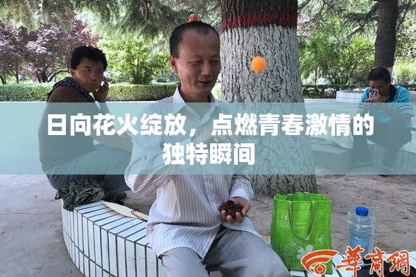 日向花火绽放，点燃青春激情的独特瞬间