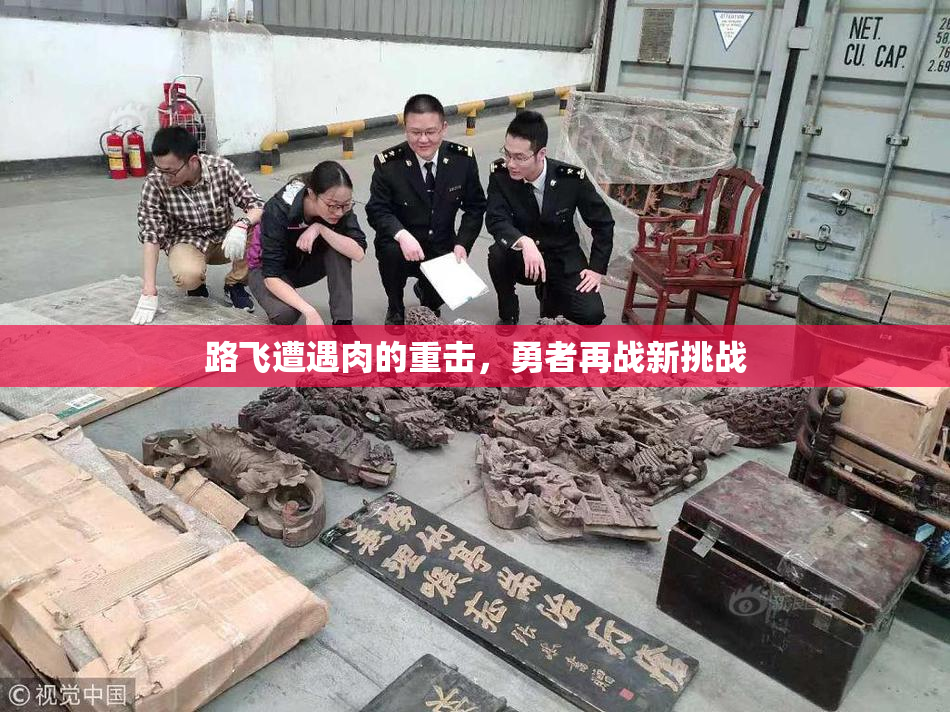 路飞遭遇肉的重击，勇者再战新挑战