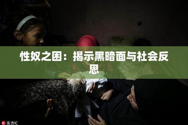 性奴之困：揭示黑暗面与社会反思