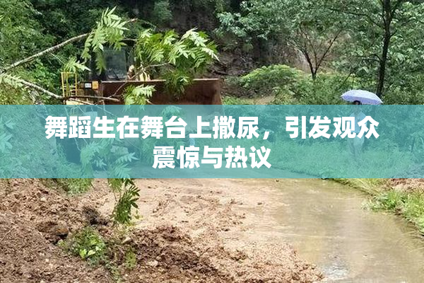舞蹈生在舞台上撒尿，引发观众震惊与热议