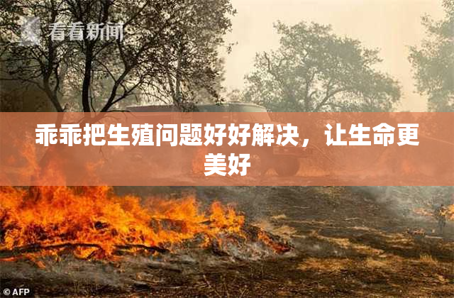 乖乖把生殖问题好好解决，让生命更美好