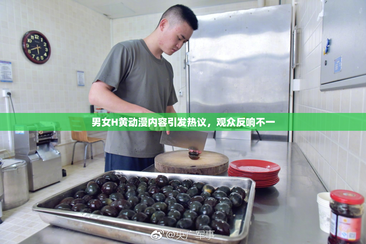 男女H黄动漫内容引发热议，观众反响不一