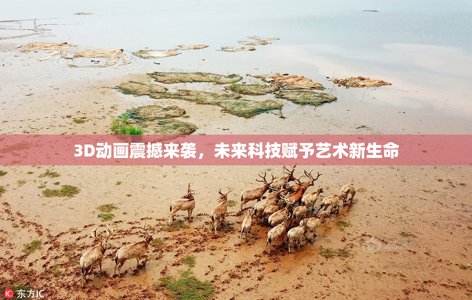 3D动画震撼来袭，未来科技赋予艺术新生命