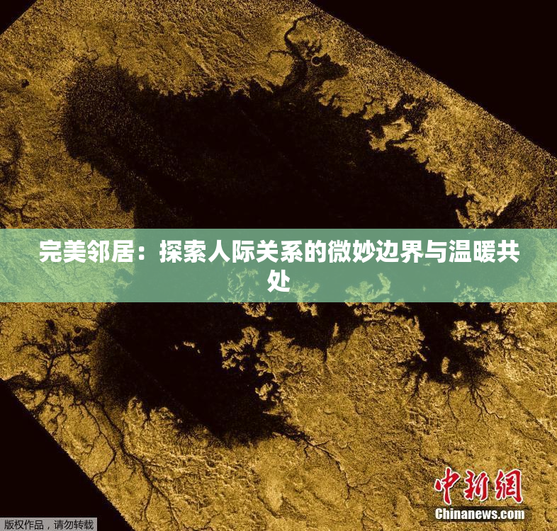 完美邻居：探索人际关系的微妙边界与温暖共处