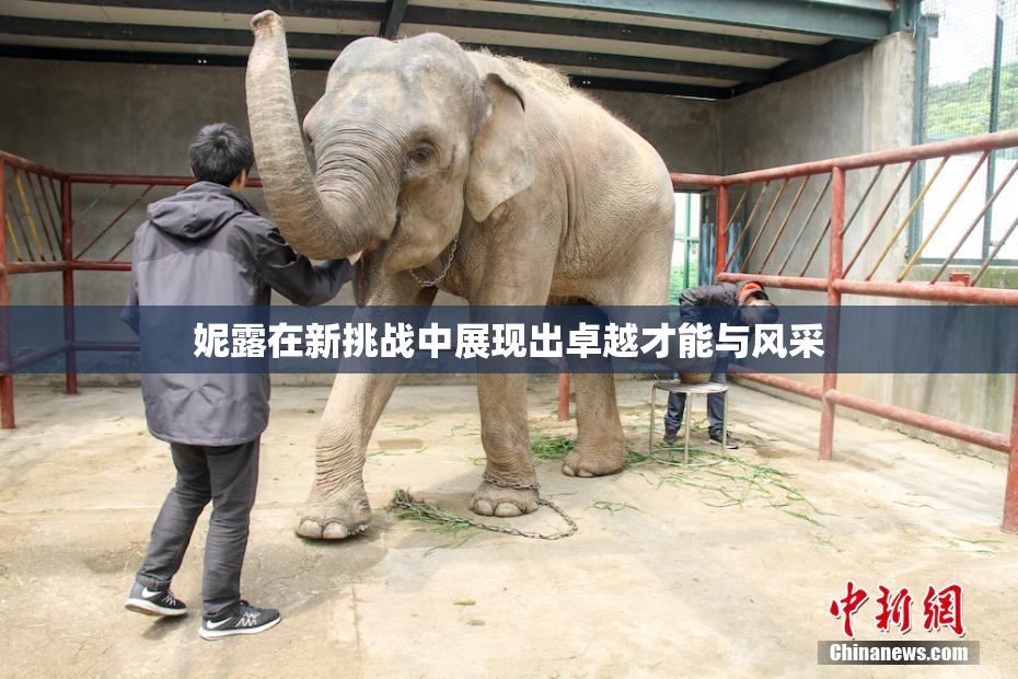 妮露在新挑战中展现出卓越才能与风采
