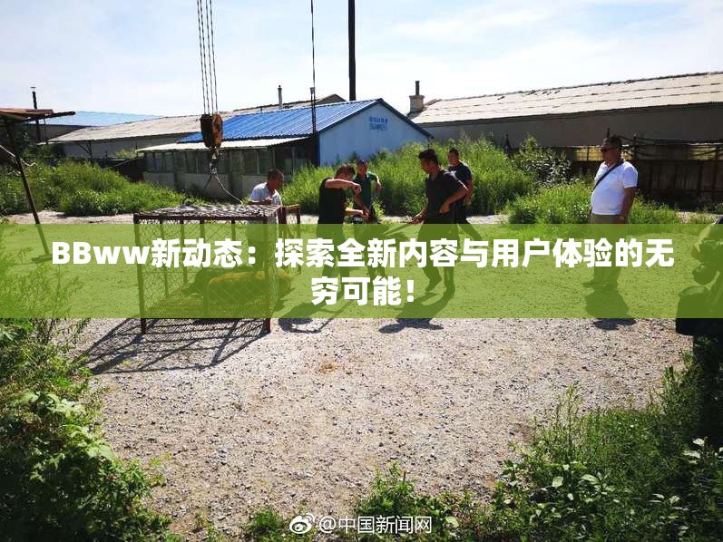 BBww新动态：探索全新内容与用户体验的无穷可能！