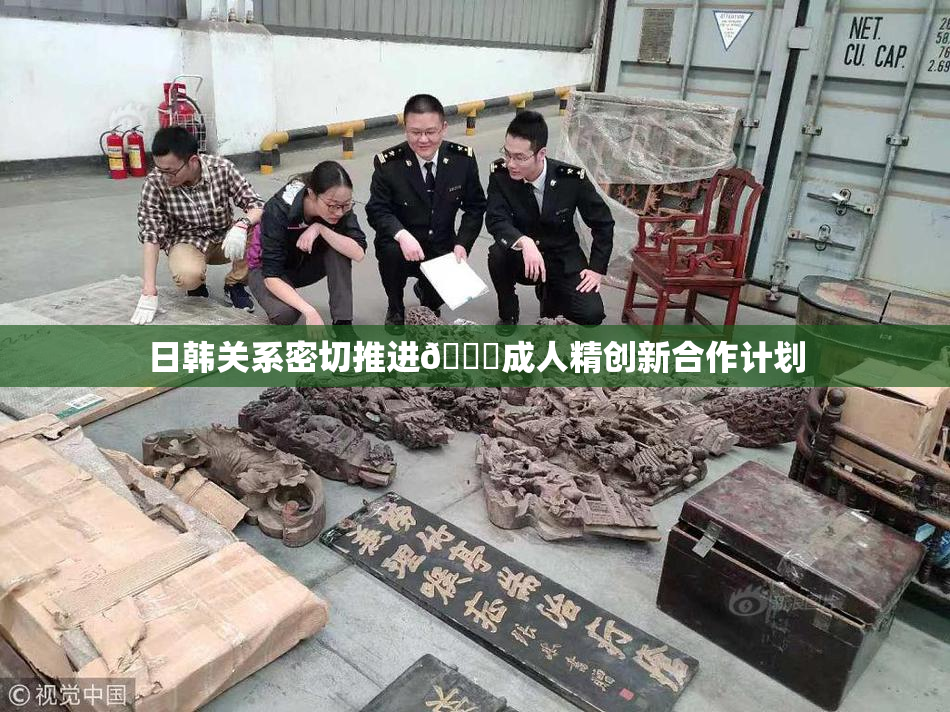 日韩关系密切推进🔞成人精创新合作计划