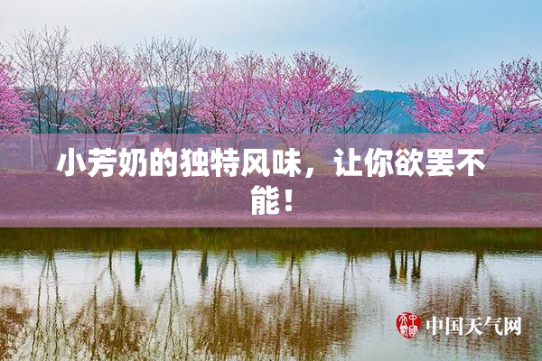 小芳奶的独特风味，让你欲罢不能！